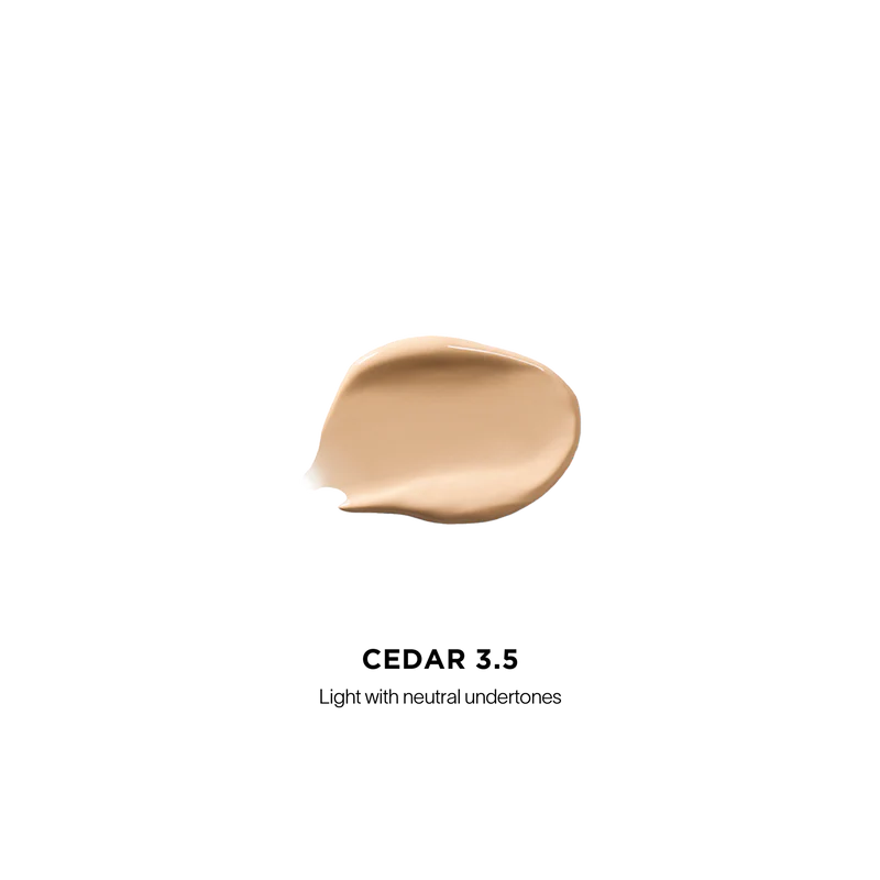 [PRÉ VENDA] Vanish™ Airbrush Concealer