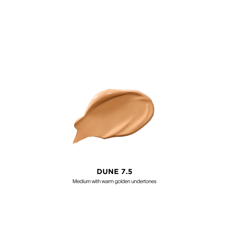 [PRÉ VENDA] Vanish™ Airbrush Concealer