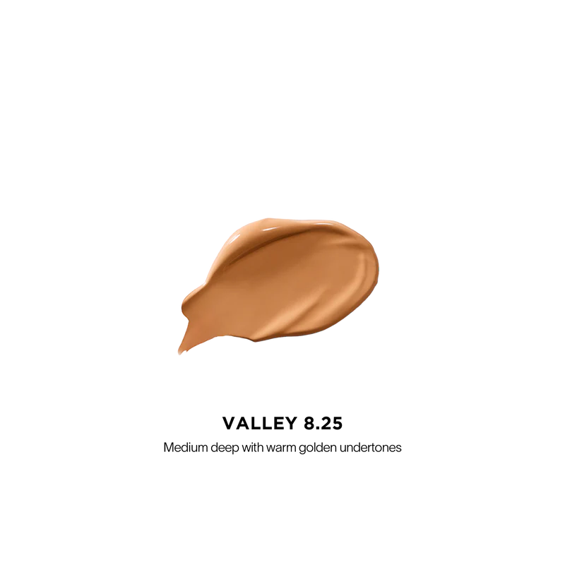 [PRÉ VENDA] Vanish™ Airbrush Concealer