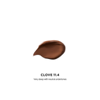 [PRÉ VENDA] Vanish™ Airbrush Concealer