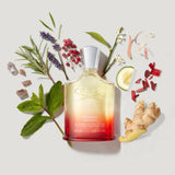 [PRÉ VENDA] ORIGINAL SANTAL CREED