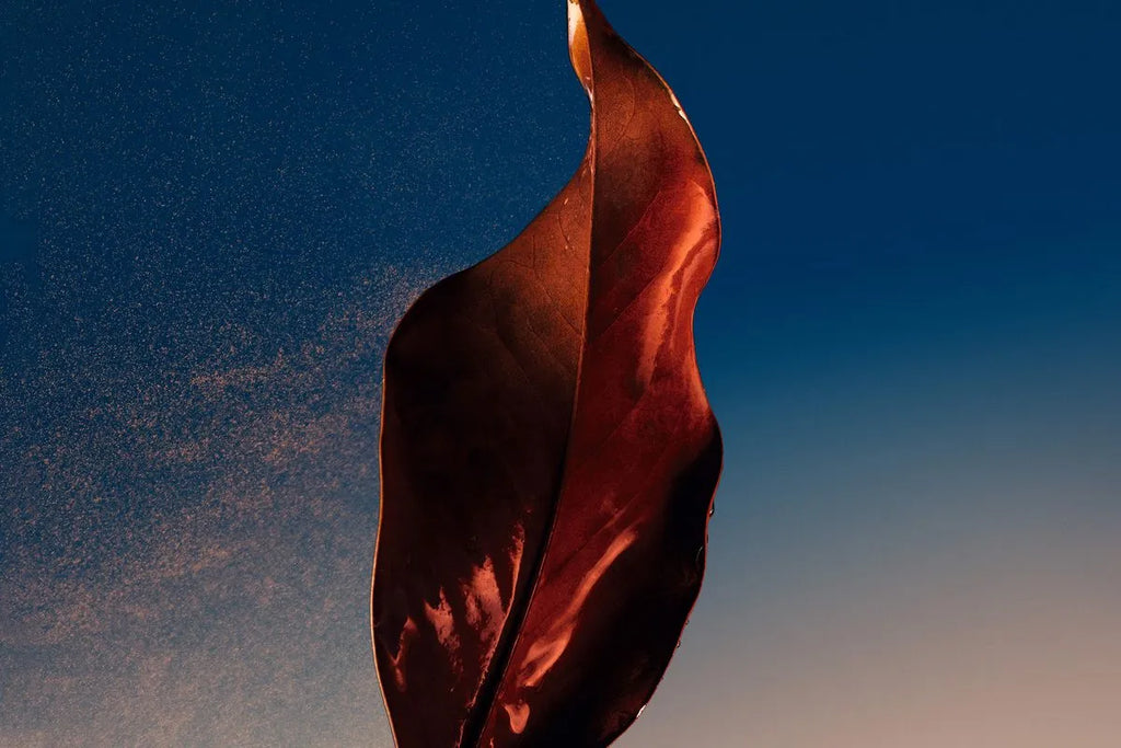 Sauvage Eau de parfum