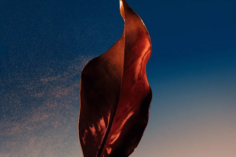 Sauvage Eau de parfum