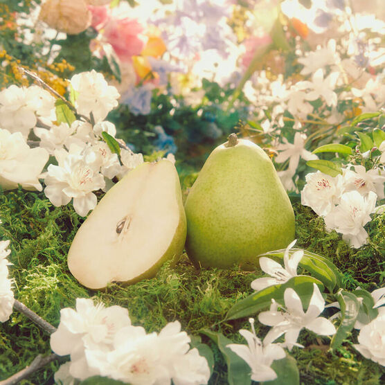 Gucci Flora Gorgeous Gardenia Feminino Eau de Parfum