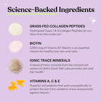 [PRÉ VENDA]Lemme Glow Gummies