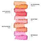 [PRÉ VENDA] TRANSITION BLURRING BLUSH DUO
